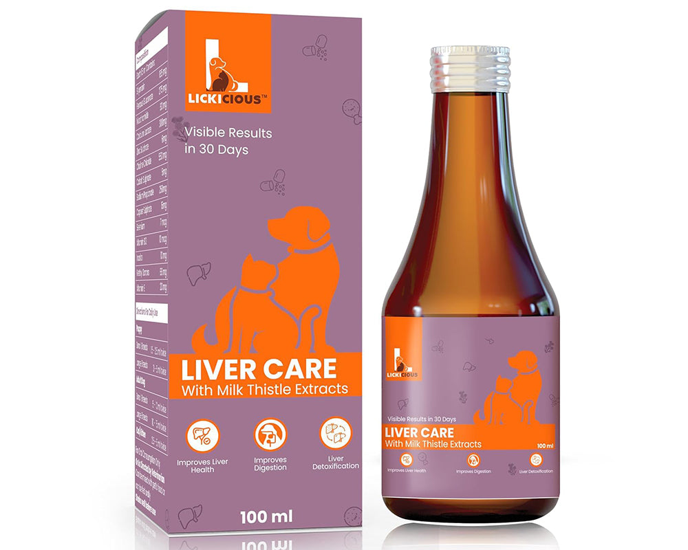 LICKICIOUS Liver Care Syrup