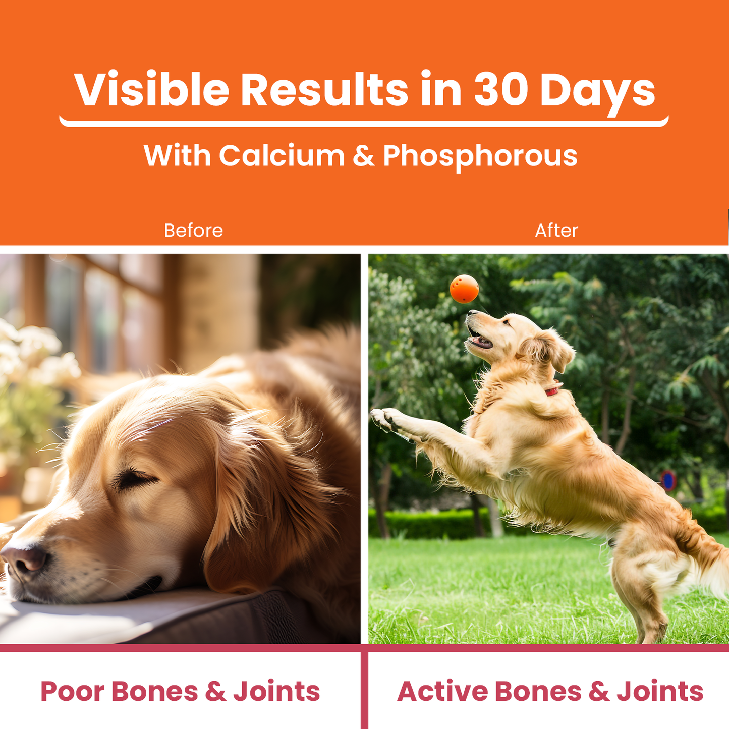 Visible results in 30 days Lickicious