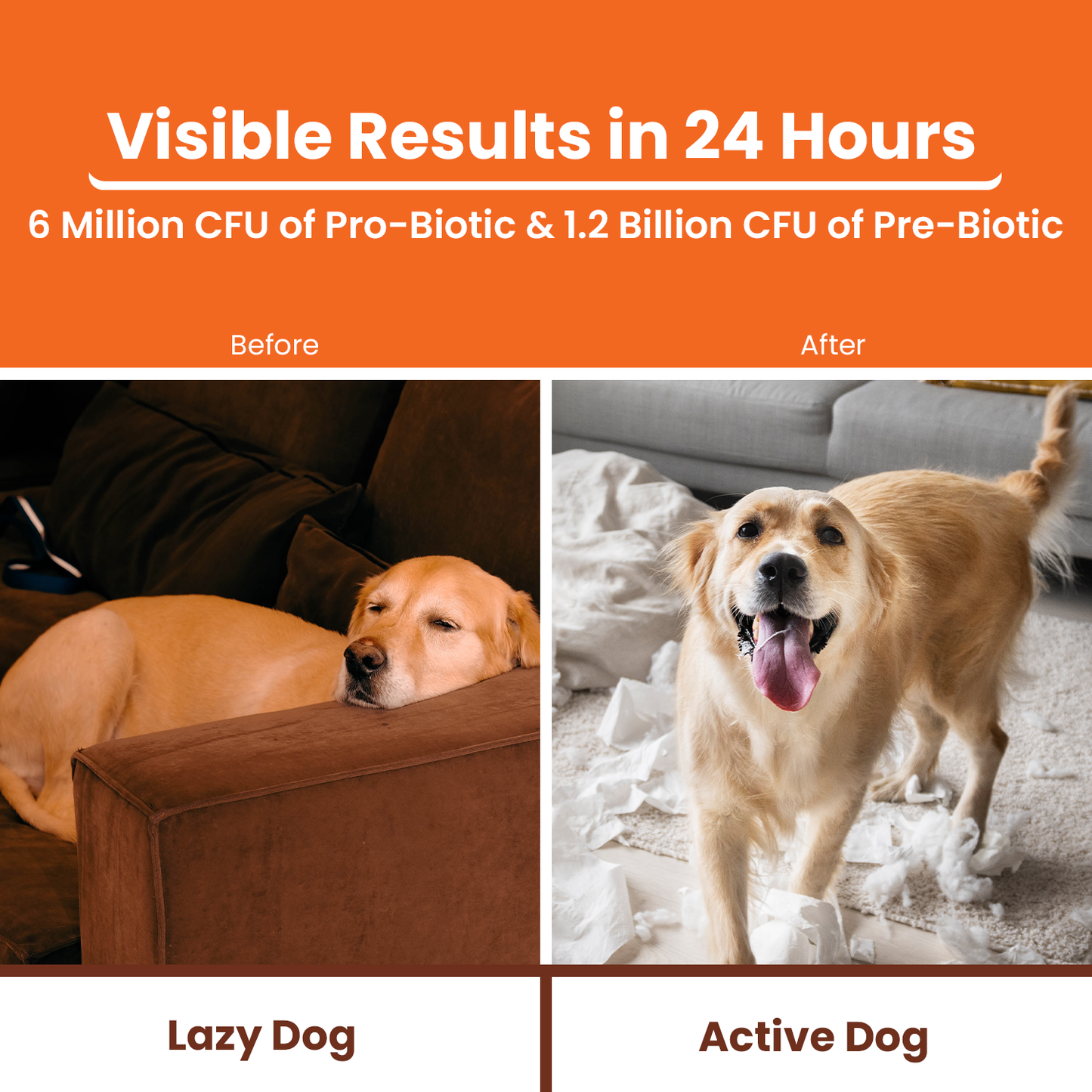 Visible Results in 24 hours