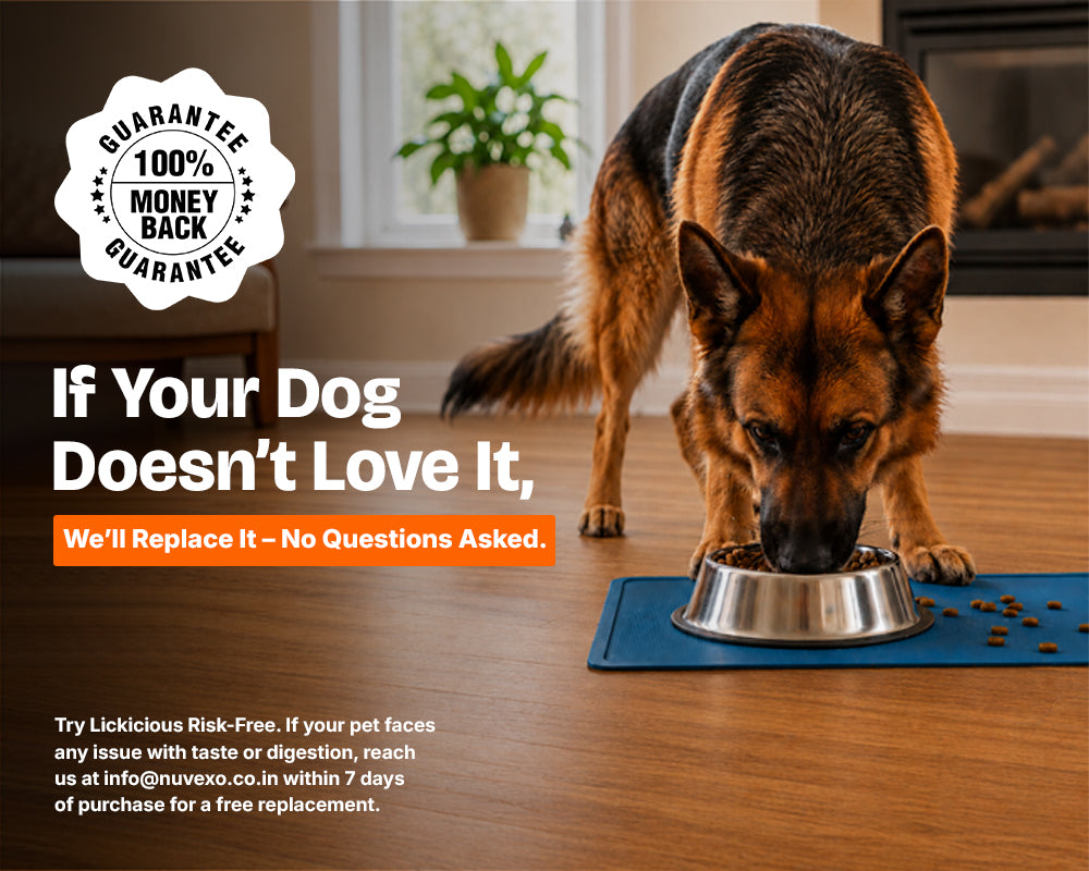 A German Shepherd stands on a blue mat eating from a metal bowl in a home interior. Large text reads, 'If Your Dog Doesn't Love It, We'll Replace It – No Questions Asked.