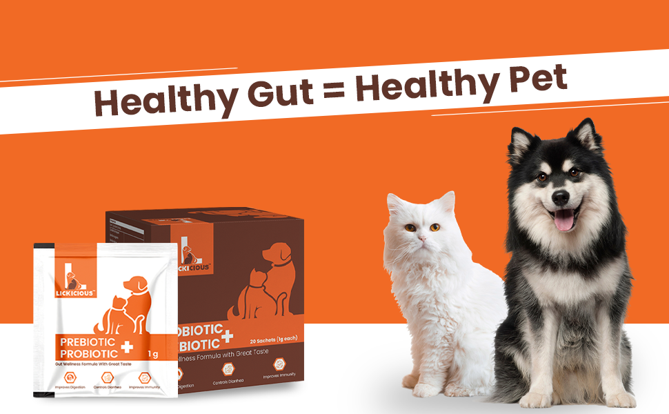 gut health digestive care