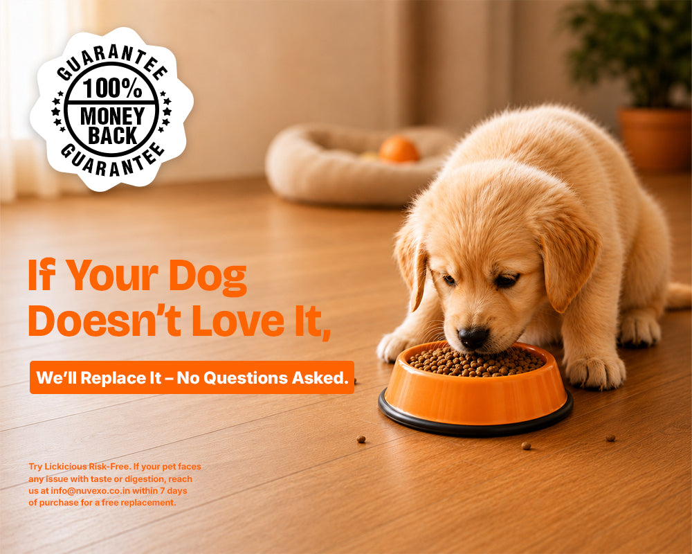 Lickicious Puppy Dry Dog Food with Real Chicken, Egg & Milk