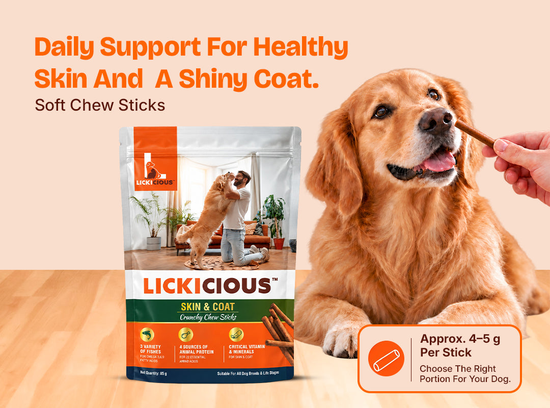 LICKICIOUS Nutritional Treats for Skin & Coat
