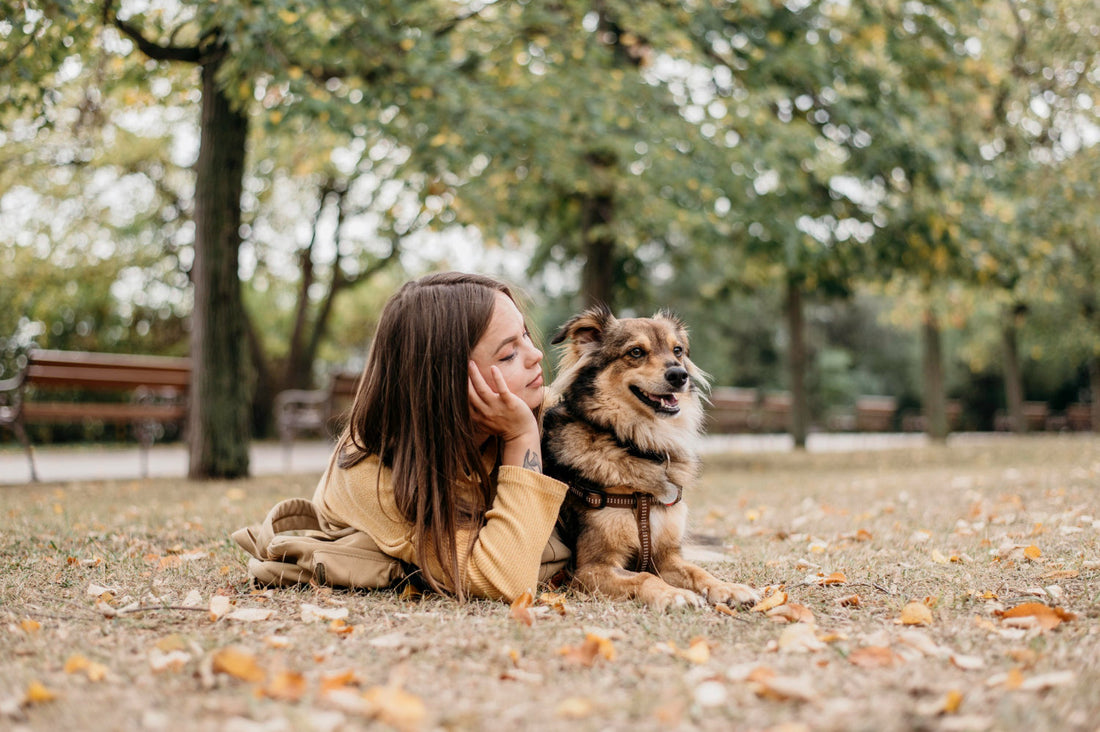 Dog relaxing with its owner outdoors in a park, representing everyday pet care during monsoon season