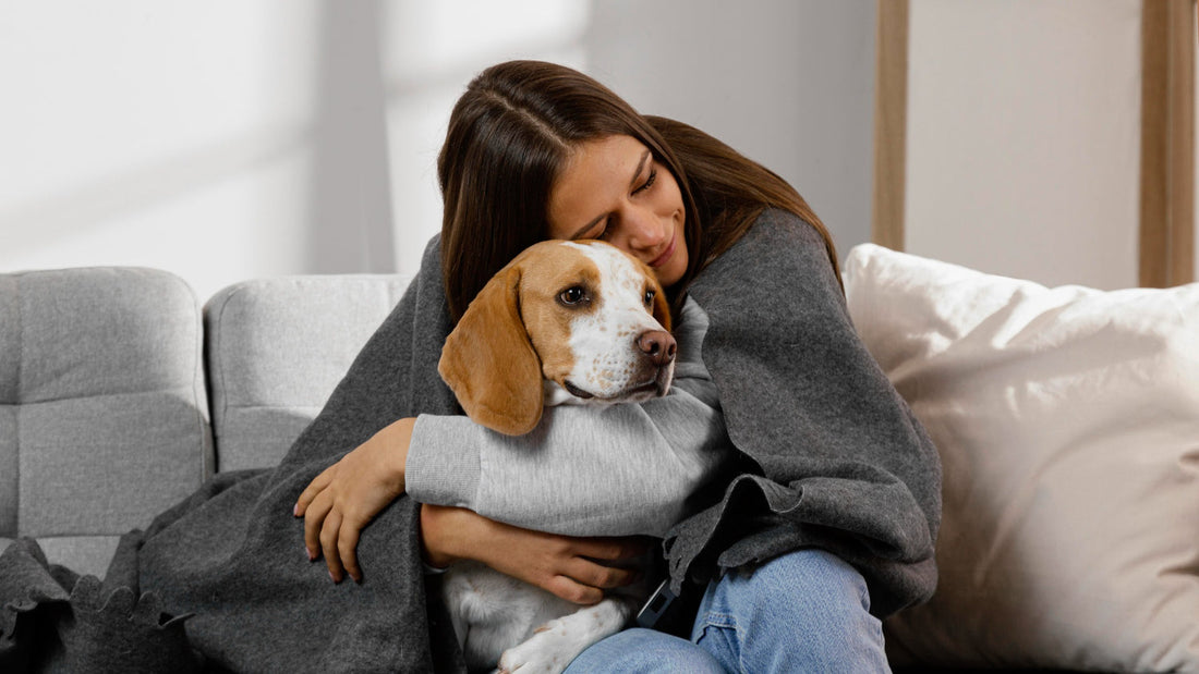 A woman sits on a sofa and gently hugs a brown-and-white dog, resting her head against the dog in a warm indoor setting.
