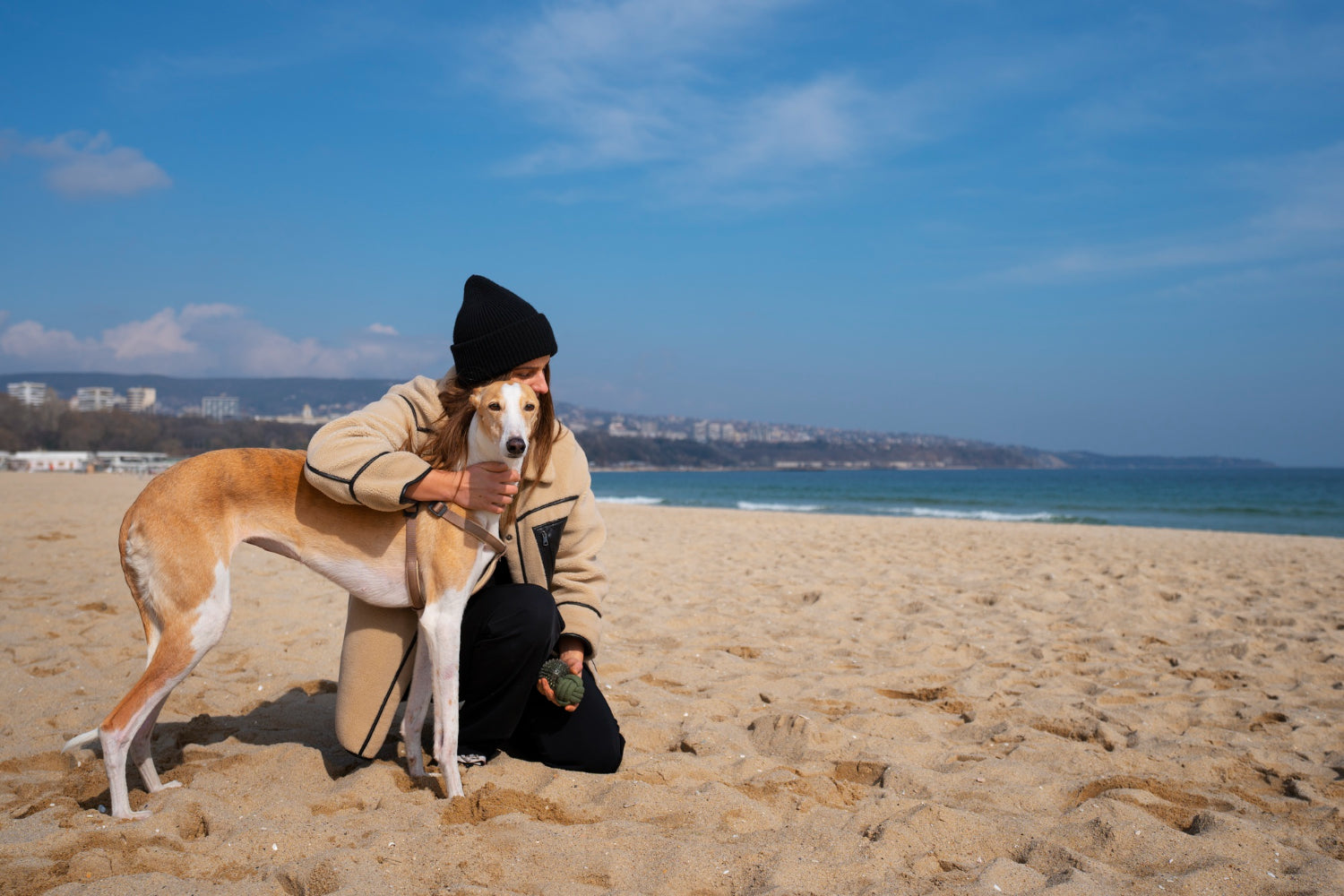 "Dog enjoying a pet friendly hill station in India" "Indian pet parent walking dog on a pet friendly beach in Goa" "Dog friendly cafe in India with pet parent and pet" "Pet friendly travel destinations India road trip with dog"