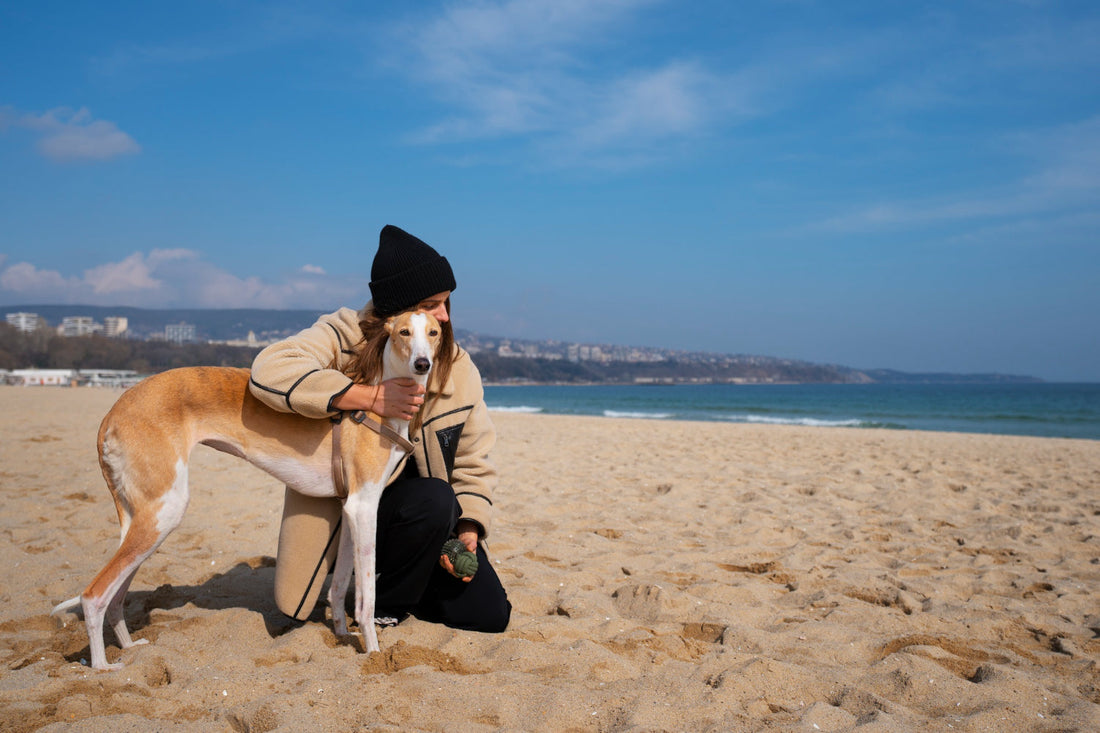 "Dog enjoying a pet friendly hill station in India" "Indian pet parent walking dog on a pet friendly beach in Goa" "Dog friendly cafe in India with pet parent and pet" "Pet friendly travel destinations India road trip with dog"