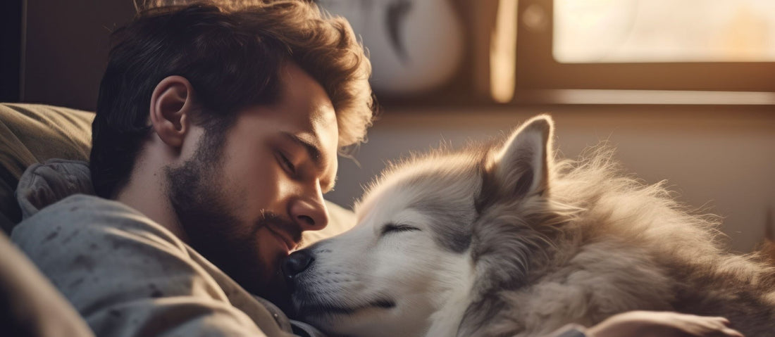 Man caring for his dog
