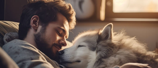 Man caring for his dog