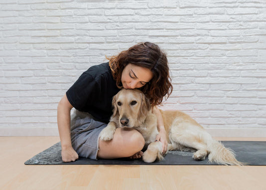 Unleash the Fun: Best Exercises to Keep Your Dog Healthy and Happy