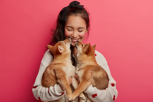 Pets: The Unsung Emotional Therapists