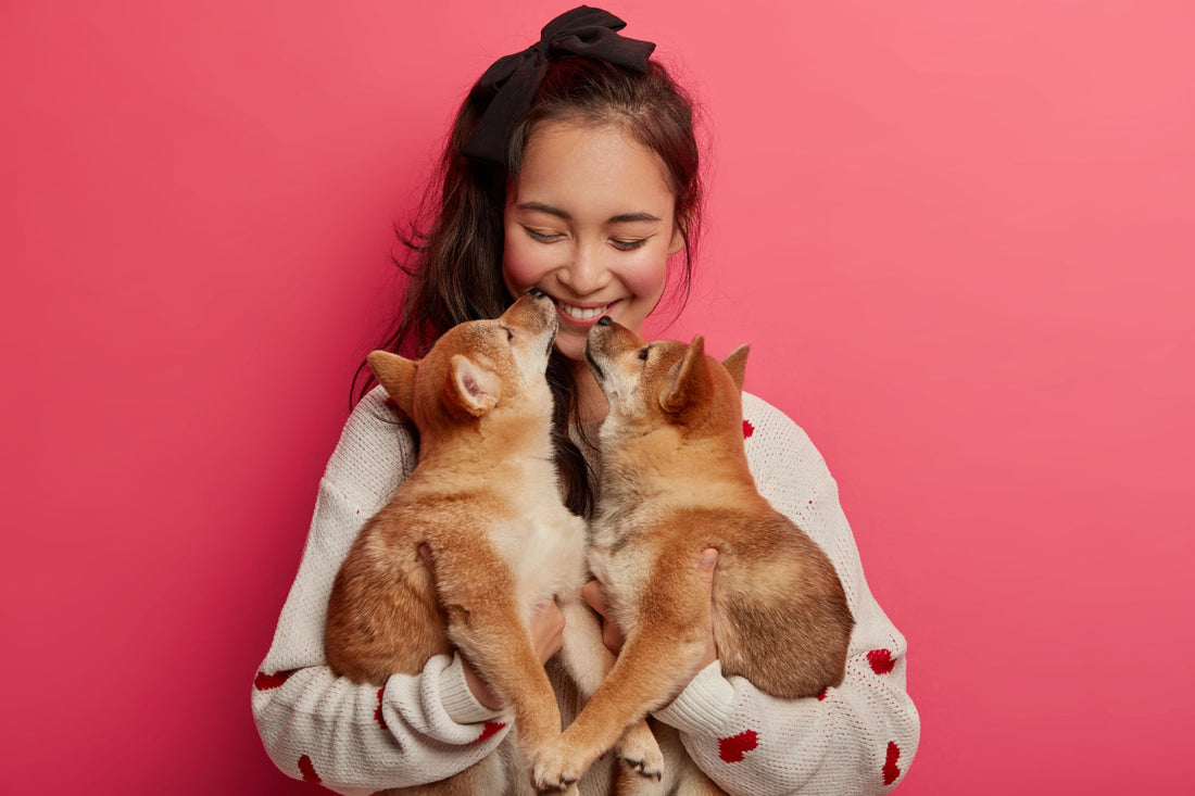 A smiling woman wearing a bow hugs two small Shiba Inu puppies, which are nuzzling her face against a bright pink background.
