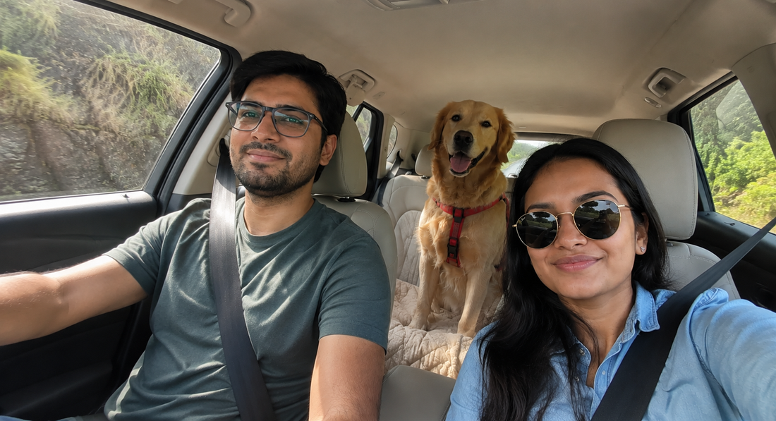 Golden Retriever traveling with two people in the back seat of a car during a road trip