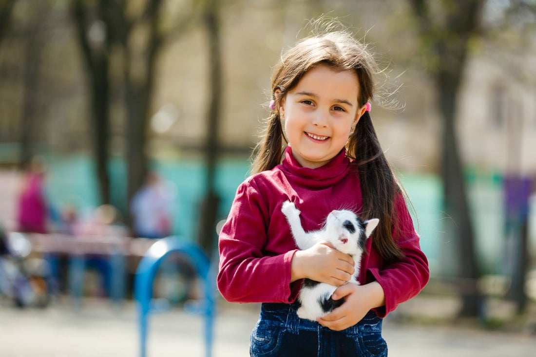 How to Choose the Perfect Name for Your Pet Cat in India