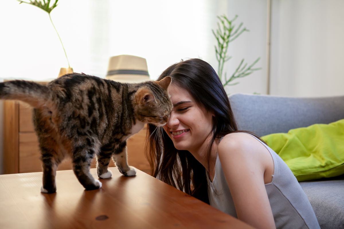 Cat- Hairball Formula