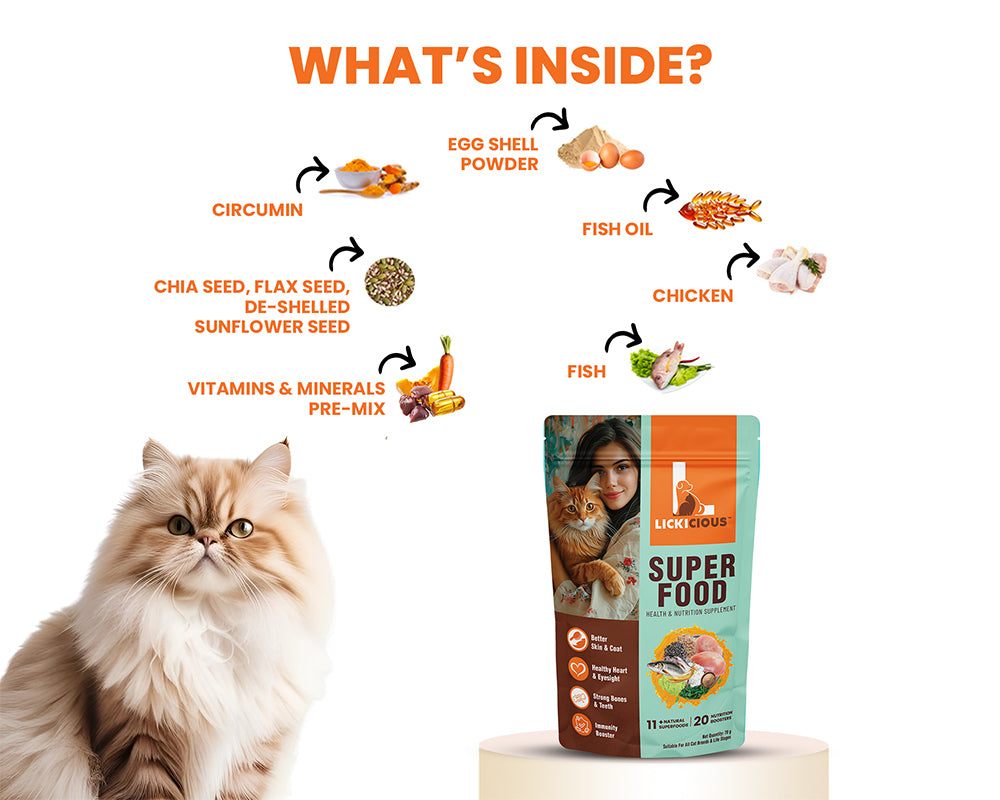 Lickicious Super Food Cat ingredients: egg shell powder, fish oil, chicken, fish, chia and flax seeds