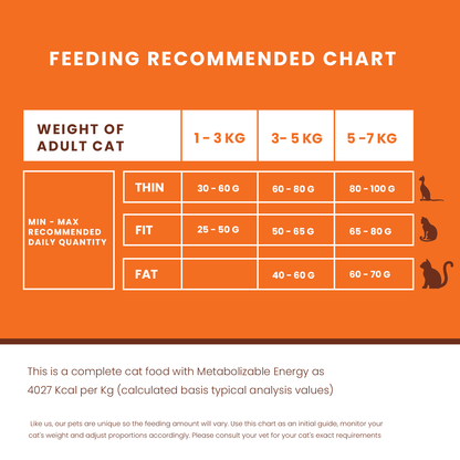 Daily Feeding Guide Lickicious Dry Cat Food