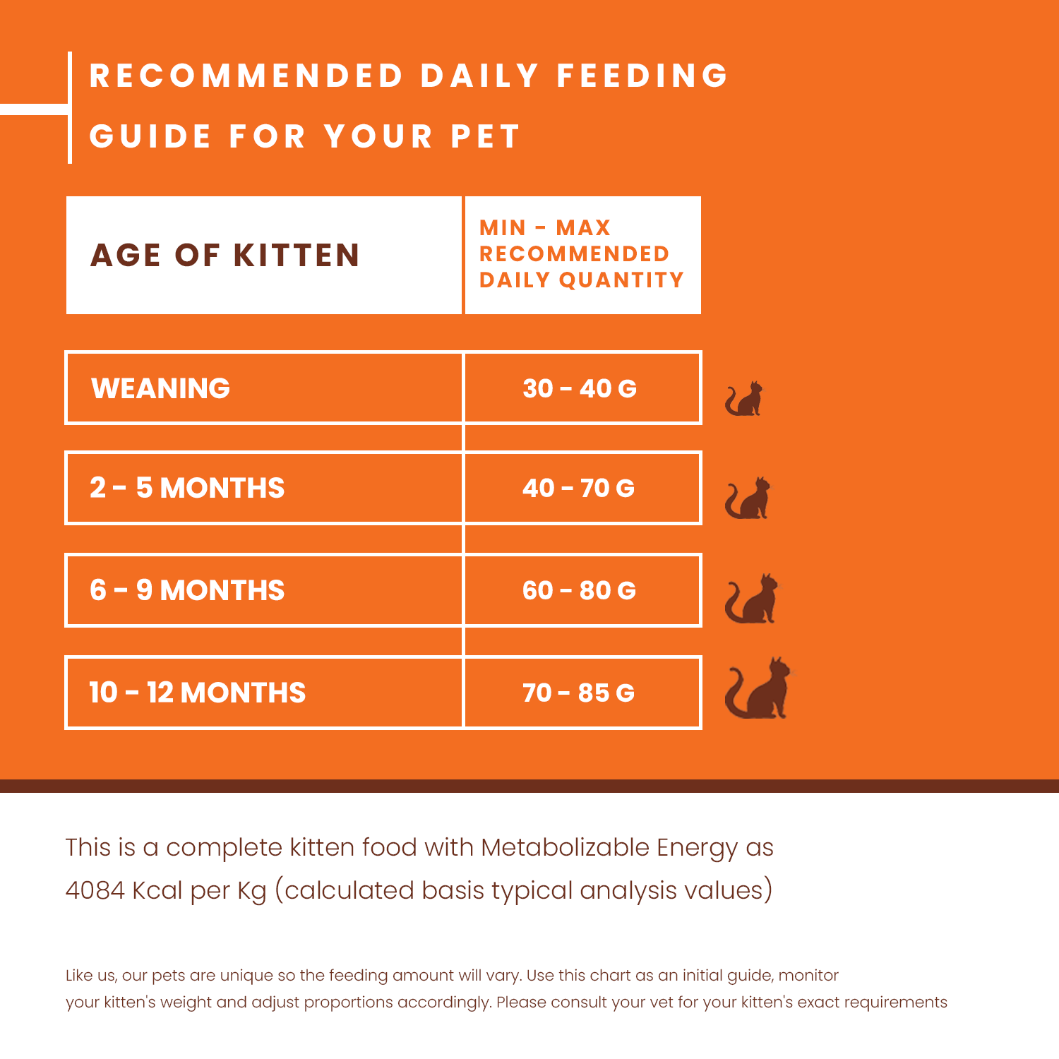 Wet Food At What Age Should Kittens Eat Dry Food Feeding Chart
