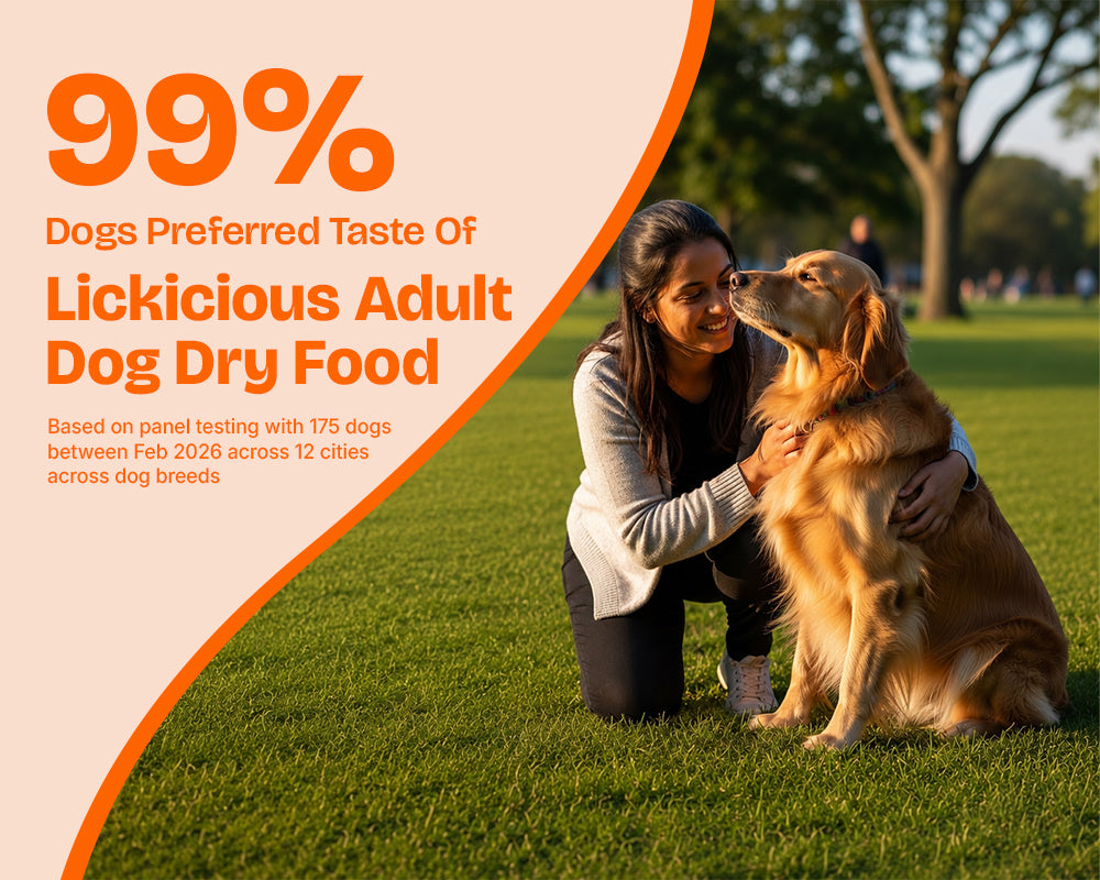 Lickicious Adult Dry Dog Food with Real Chicken & Vegetable