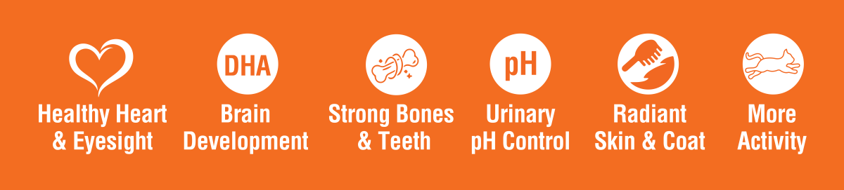 Benefits Healthy Heart and Eyesight Brain Development Strong Bones & Teeth Urinary pH Control Radiant Skin & Coat More Activity