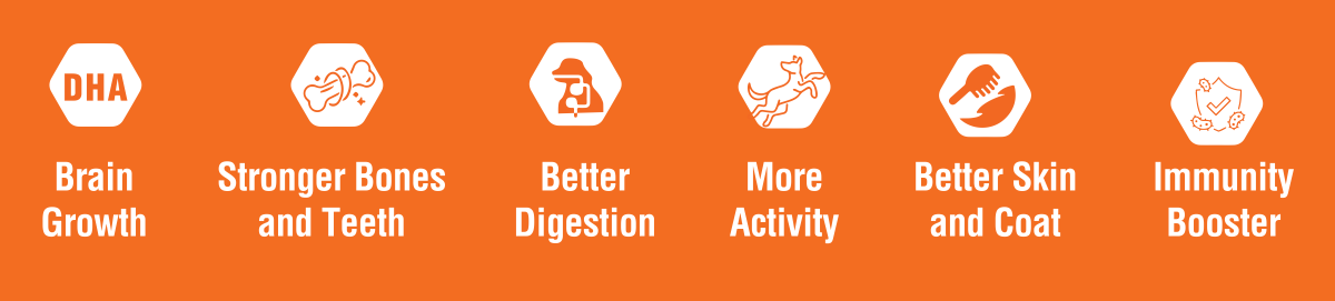 Benefits of Lickicious Dry Puppy Food