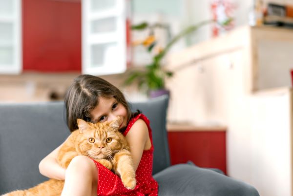 Unconditional Love you Deserve Lickicious Cat Food