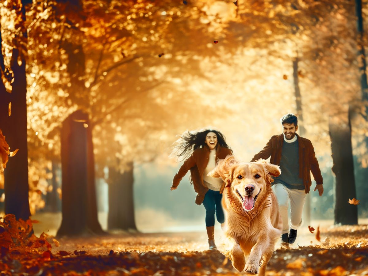 Happy pet parents with golden retriever running in park