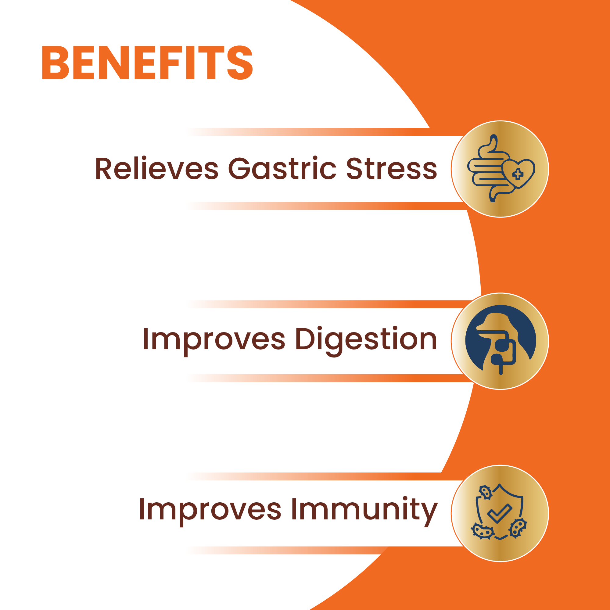 LICKICIOUS Digestive Care Dog Treats