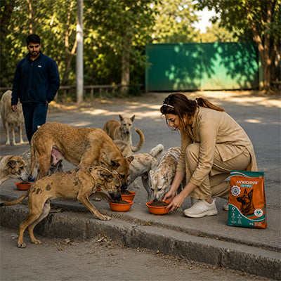 Feeding Groups