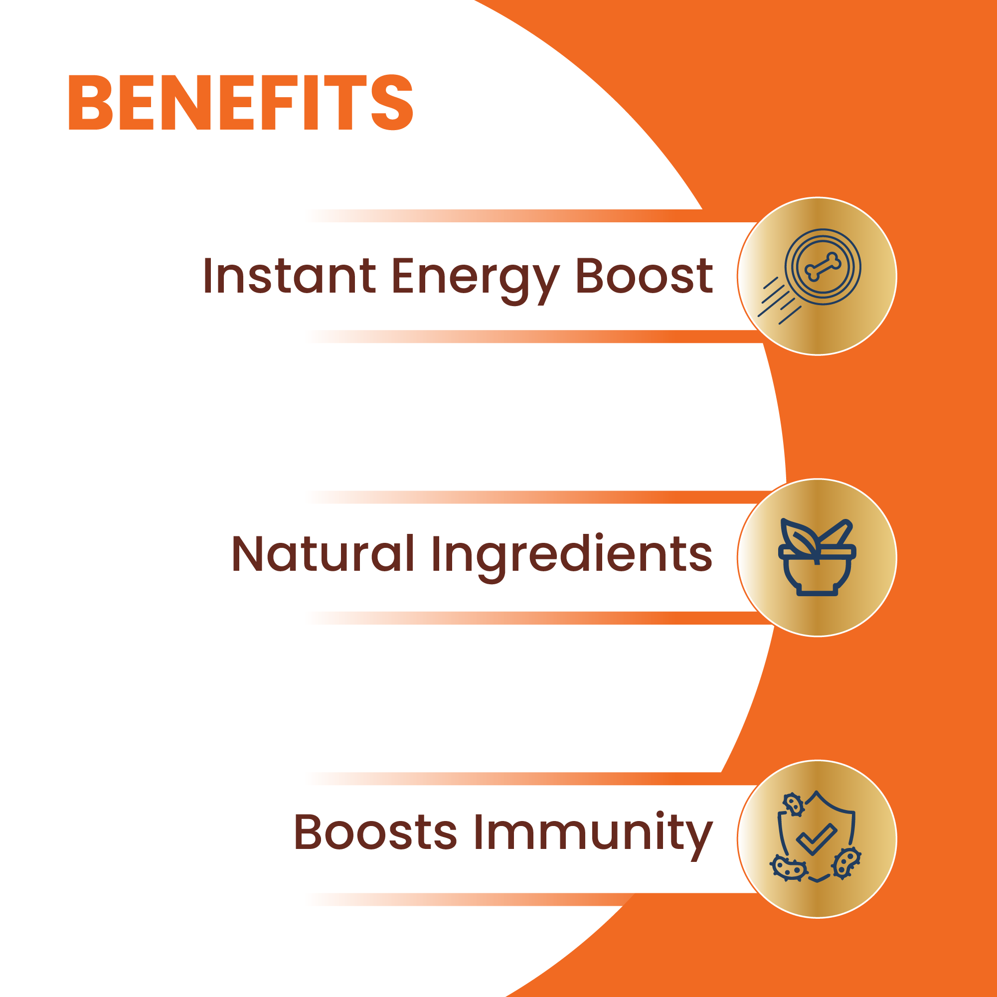 LICKICIOUS Multivitamins Care Dog Treats 85g