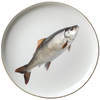 Ocean Fish 