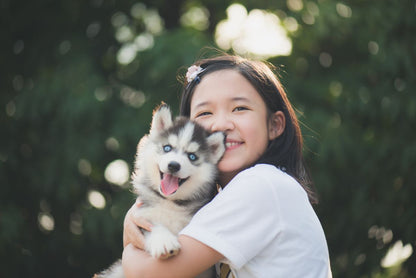 Loving Puppy and Girl