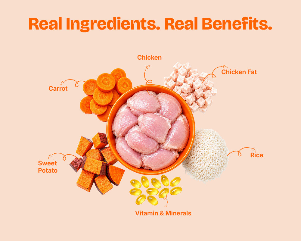 Real ingredients in Lickicious Adult Dog Food: chicken, carrots, sweet potato, rice and chicken fat