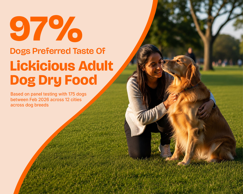 Lickicious Adult Dog Food taste-test graphic showing 97% of dogs preferred it in panel testing