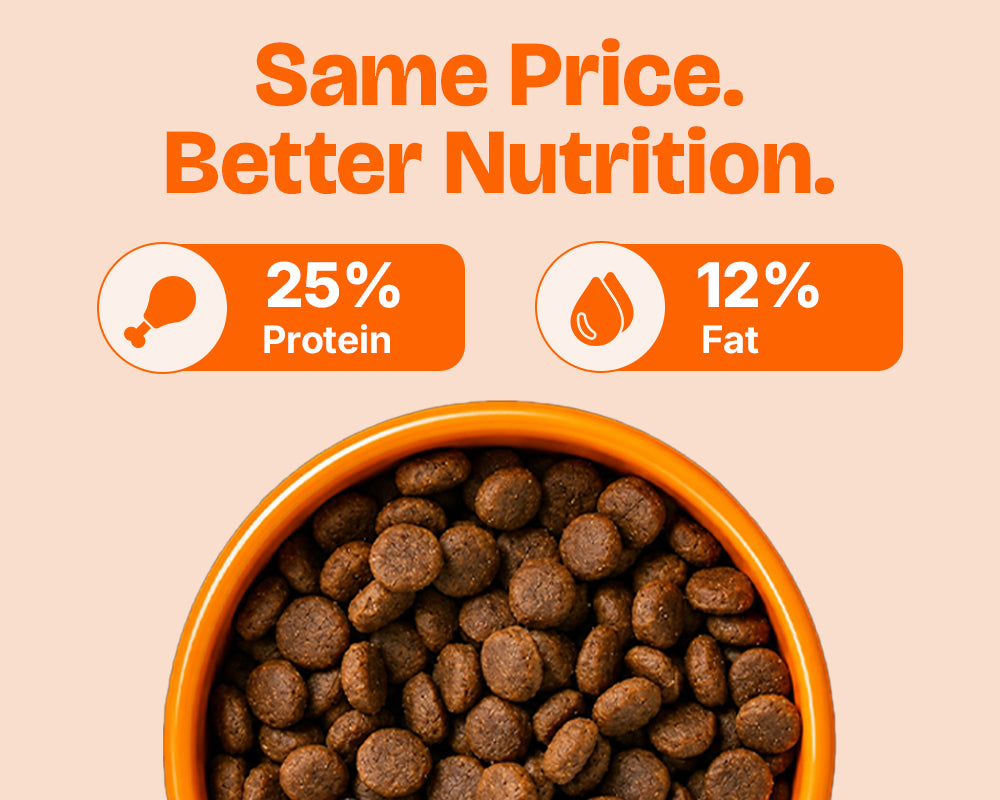 Bowl of Lickicious Adult Dry Dog Food kibble showing 25% protein and 12% fat content