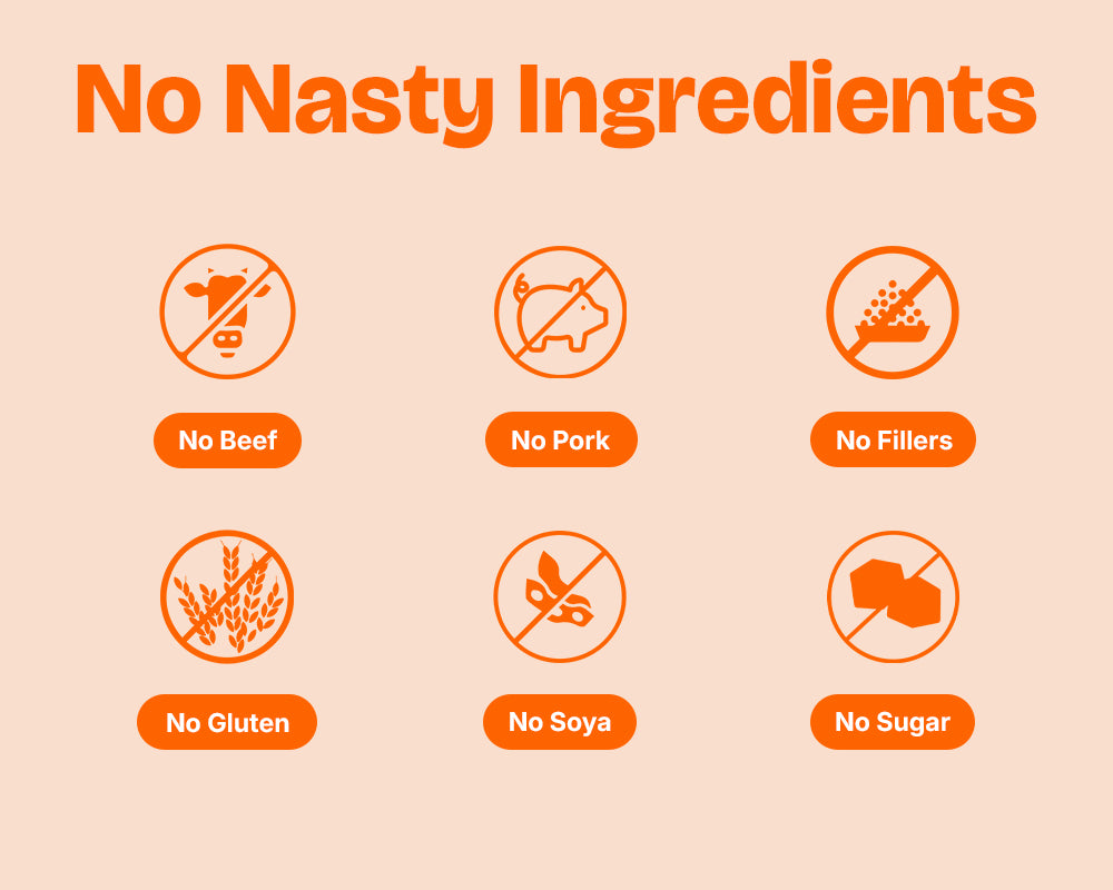 Lickicious Adult Dog Food ingredient callouts: no beef, pork, fillers, gluten, soya or sugar
