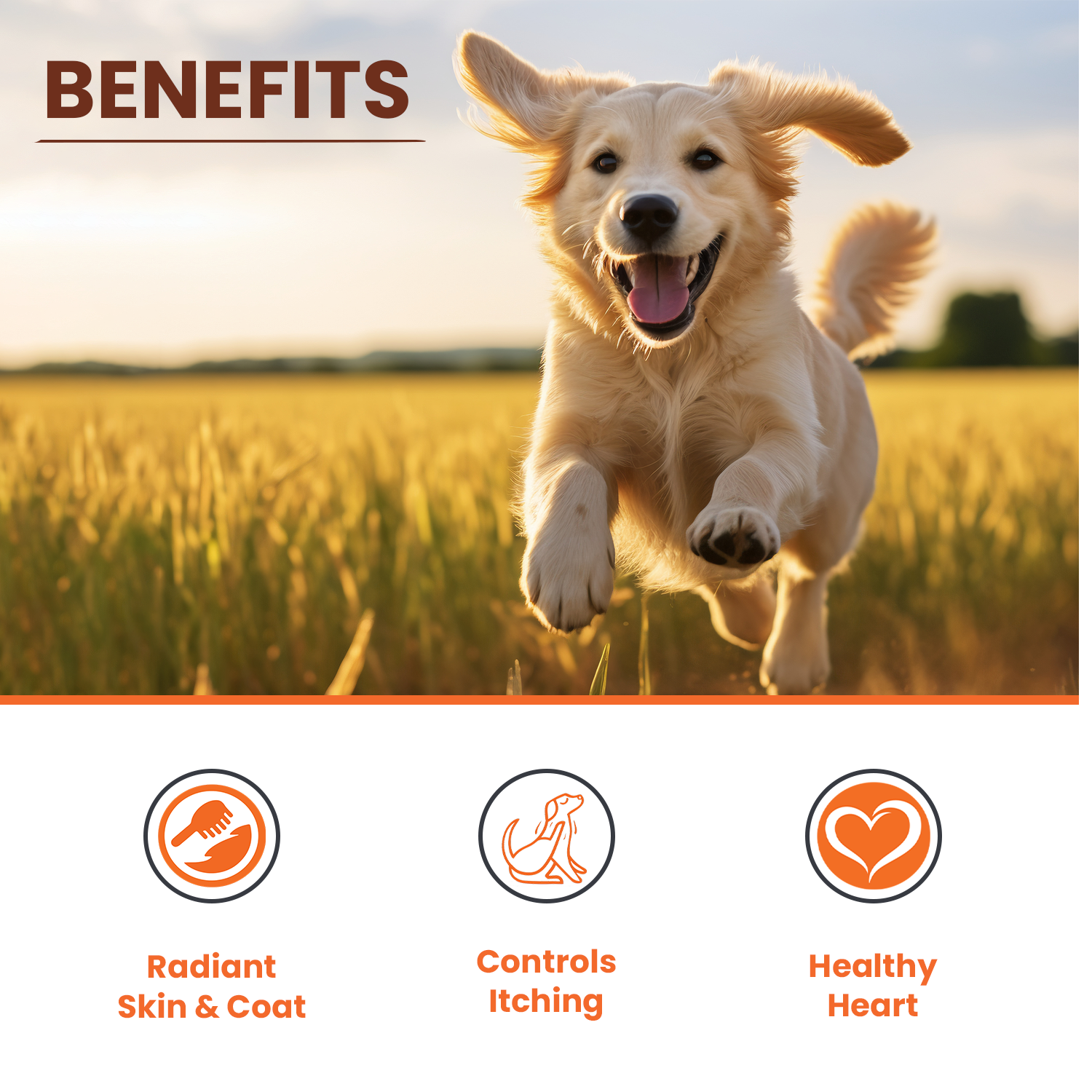 Benefits LICKICIOUS Radiant Skin and Coat controls itching healthy heart