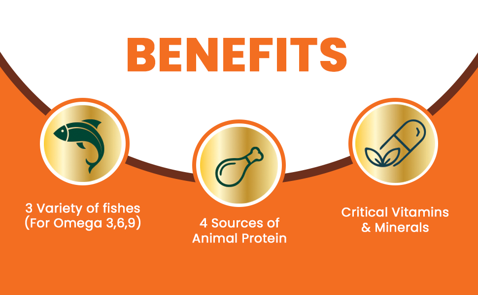 Benefits Lickicious Skin and Coat Treat Omega 3 6 9 for dogs