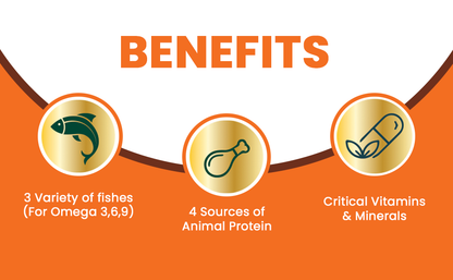 Benefits Lickicious Skin and Coat Treat Omega 3 6 9 for dogs
