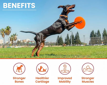 LICKICIOUS Bone & Joint Syrup for Dogs & Cats