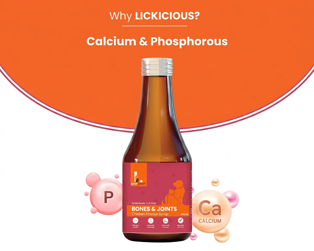 Lickicious Bones & Joints Syrup bottle shown with calcium and phosphorus mineral icons