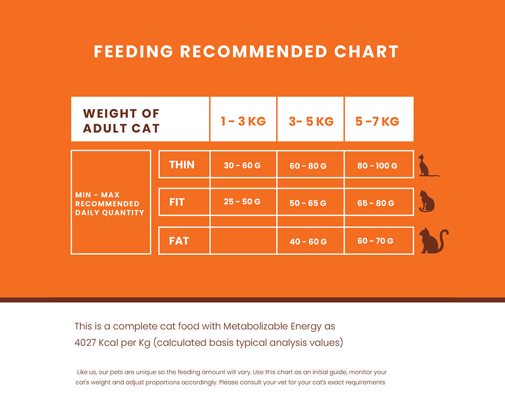 Lickicious Adult Cat Food feeding chart by cat weight and body condition, thin to fat