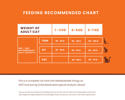 LICKICIOUS Dry Cat Food | Adult Cat Food | Unconditional Love You Deserve