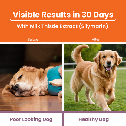 Visible Results in 30 days