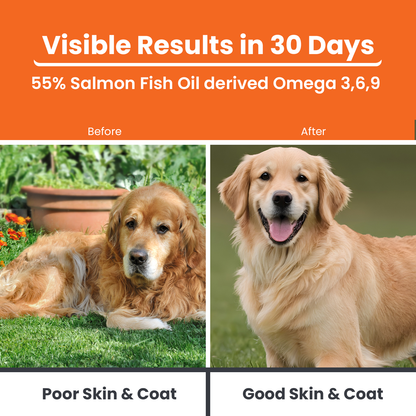Visible Results in 30 Days