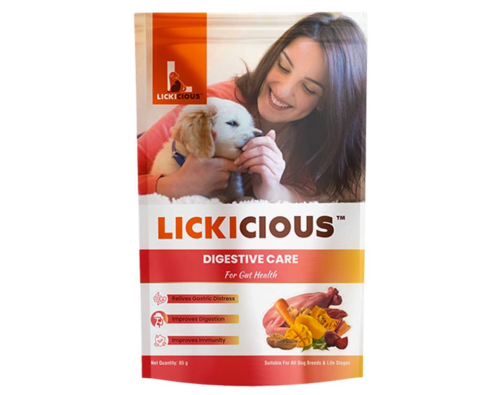 LICKICIOUS Digestive Care Dog Treats