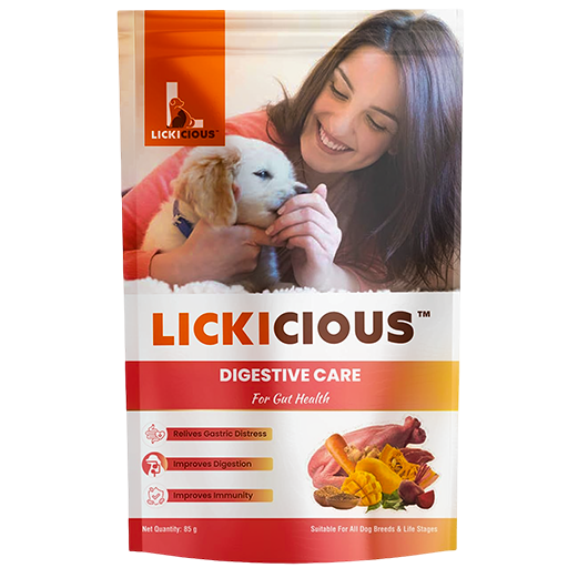 LICKICIOUS Digestive Care Dog Treats
