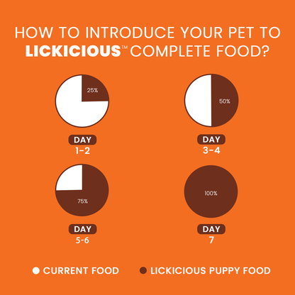 How to shift to Lickicious Puppy Food