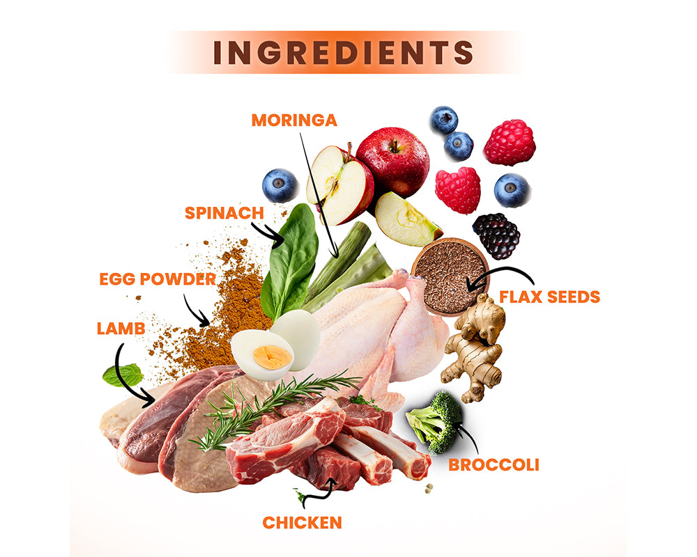 A list of ingredients including moringa, spinach, egg powder, flax seeds, lamb, chicken, broccoli, and berries on a white background.