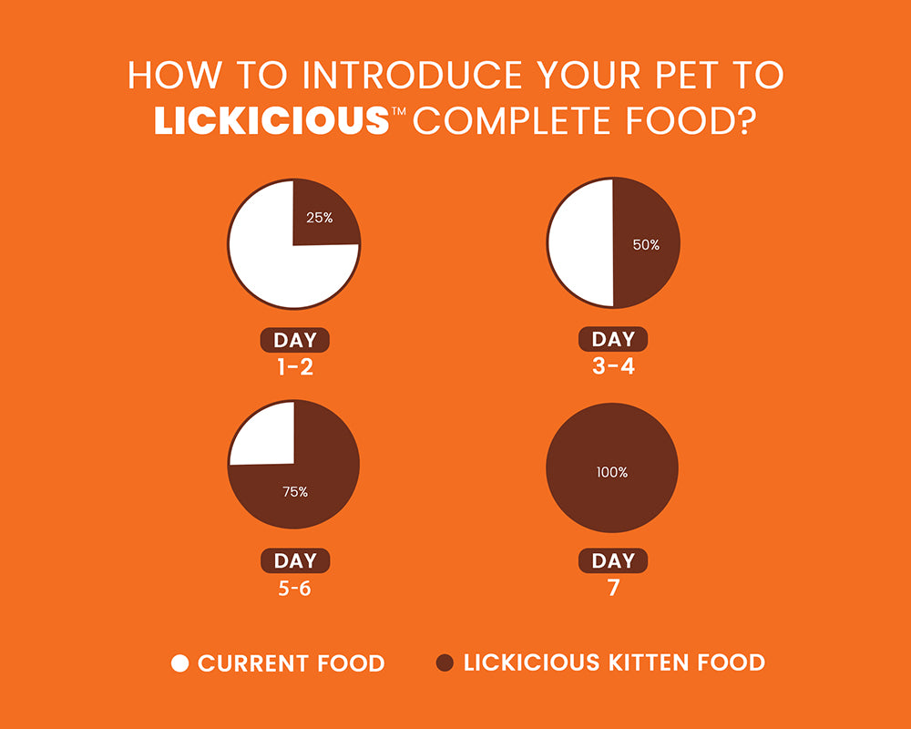 Infographic on introducing a pet to Lickicious kitten food with pie charts on an orange background.
